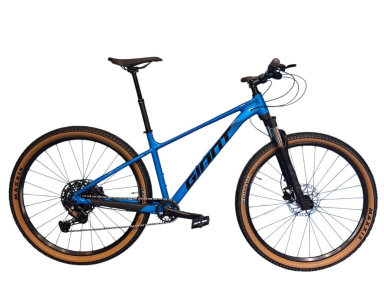 BICI GIANT TALON 29 1 10V DH - AZUL/NEGRO T:M