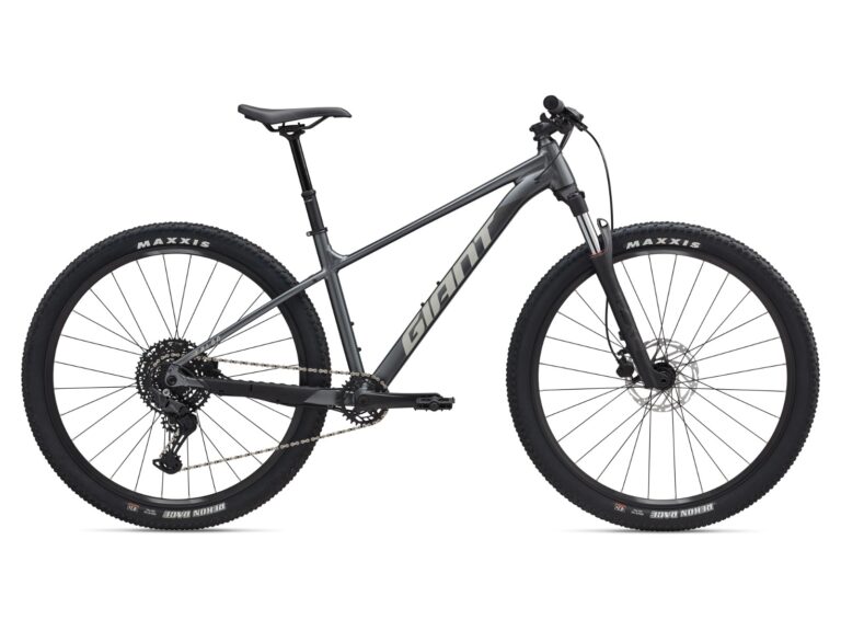 BICI GIANT TALON 29 1 10V DH - GRIS/ BLANCO T:L