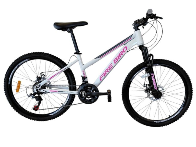 Home 5 FIRE BIRD R24 21V DISCO MECANICO