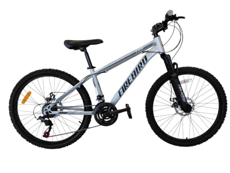 FIRE BIRD R24 21V DISCO MECANICO