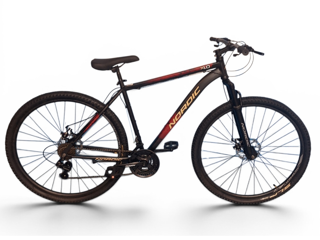 NORDIC X1.0 R29 21V D M - NEGRO/ROJO/DORADO T:L