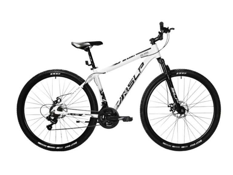 SLP 10PRO R29 21V DISCO MECANICO T:M