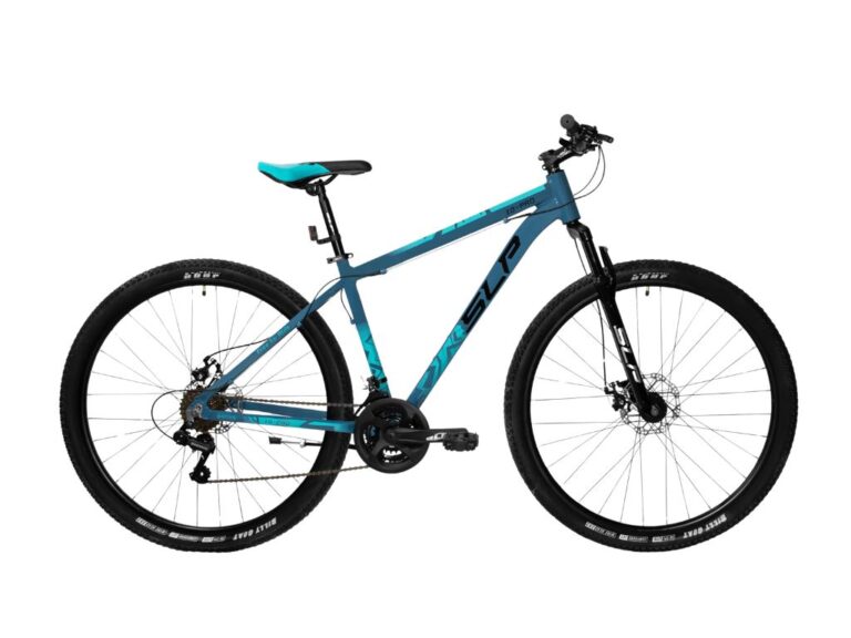 SLP 10PRO R29 21V DISCO MECANICO T:L